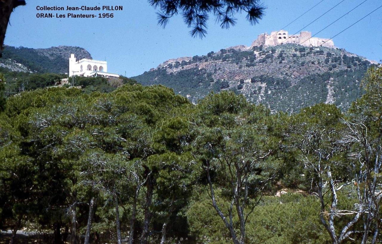 ORAN LES PLANTEURS1956.jpg
